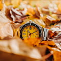 Spinnaker Spinnaker Dumas SP-5081-II мужские часы желтый циферблат на запястье
