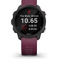 Часы Garmin Forerunner 245 010-02120-11 фото 9