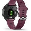 Часы Garmin Forerunner 245 010-02120-11 фото 4