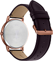 Часы Casio Collection MTP-B120RL-5A фото 5