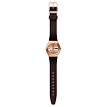 Часы Swatch I Medium Standard YLG701 фото 2
