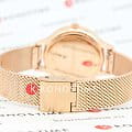 Swarovski Swarovski Octea Nova 5650011  - задняя крышка металл сталь корпуса, швейцария часы