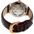 Orient Orient Fashionable Automatic RA-AG0017Y механические женские часы часы крупный план коричневый циферблата