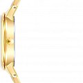 Часы Anne Klein Plastic 4006IVGB фото 2