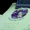 Swatch Swatch x Omega Bioceramic Moonswatch Mission on Earth SO33G100 , наручные мужские часы фото под углом