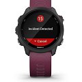Часы Garmin Forerunner 245 010-02120-11 фото 7