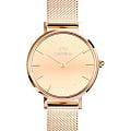 Daniel Wellington Daniel Wellington Petite Reflection Rose Gold DW00100795  DW00100795 кварцевые женские часы золотой циферблат, браслет нержавеющая сталь с pvd-покрытием — вид спереди