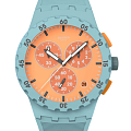 Часы Swatch Chrono 42 Standard SUSL401