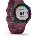 Часы Garmin Forerunner 245 010-02120-11 фото 6
