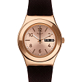 Часы Swatch I Medium Standard YLG701