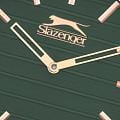 Slazenger Slazenger SL.09.2310.1.05 мужские часы зеленый циферблат на запястье