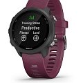 Часы Garmin Forerunner 245 010-02120-11 фото 5