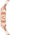 Часы Anne Klein Metals 4060RGRG фото 2