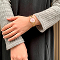 Часы Daniel Wellington Iconic Link DW00100370 фото 6