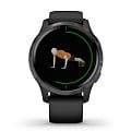 Garmin Garmin Venu 010-02173-13 мужские часы цветной циферблат на запястье
