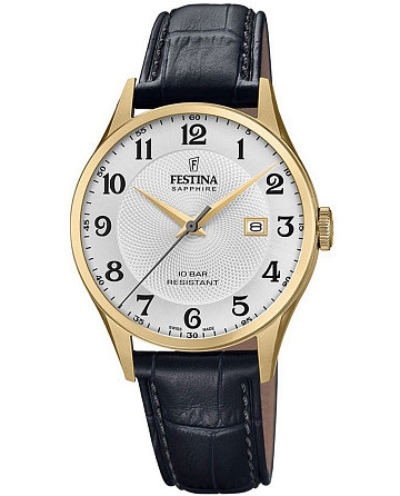 Festina Classics F20010/1
