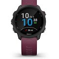 Часы Garmin Forerunner 245 010-02120-11 фото 10